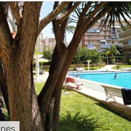 Apartamento Entero En La Playa San Juan Benacantil Alicante Zewnętrze zdjęcie