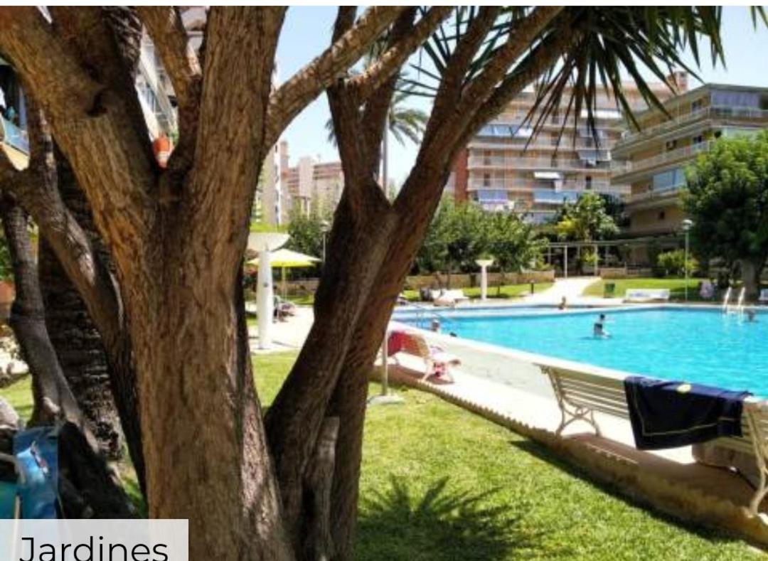 Apartamento Entero En La Playa San Juan Benacantil Alicante Zewnętrze zdjęcie